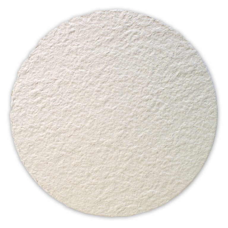 AF5 Filter Pad (Coarse)