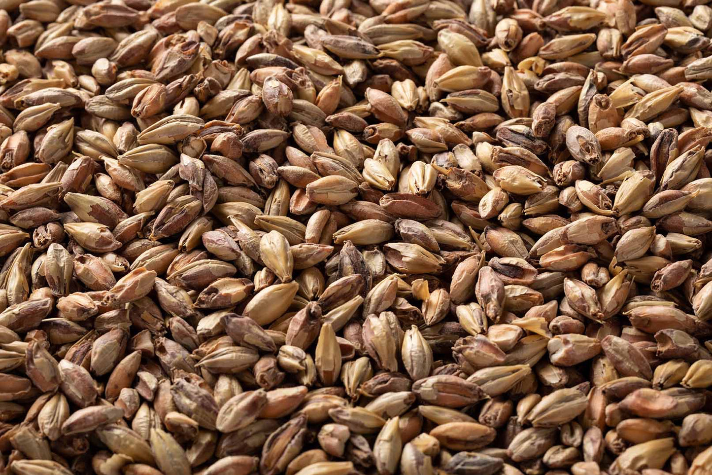 Victory Malt - 28L
