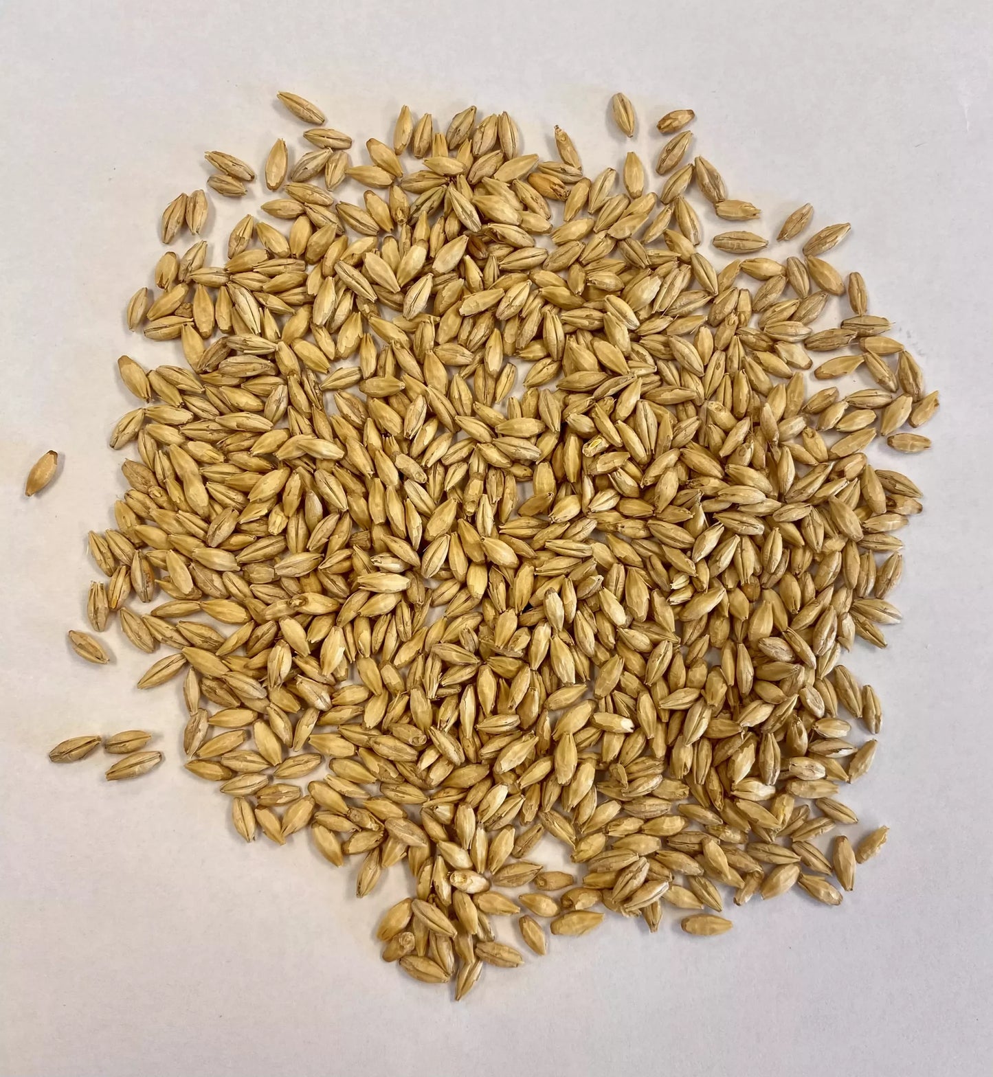 Dextrin Malt - 2.5L