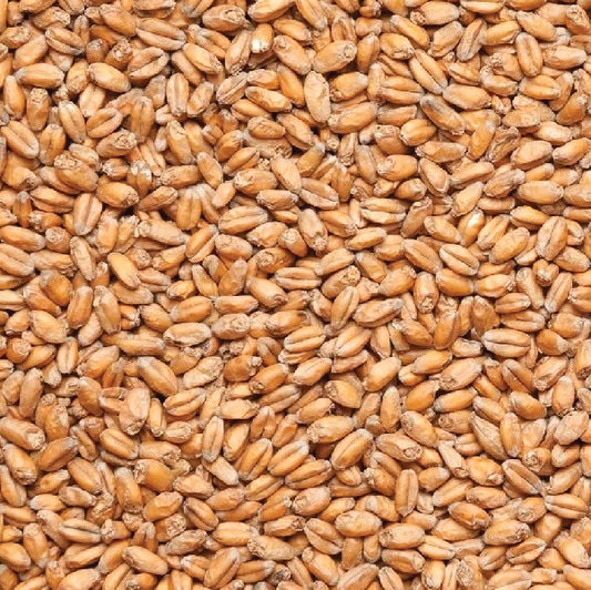 MCM White Wheat Malt - 2.3L