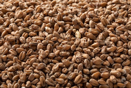 Red Wheat Malt - 3L