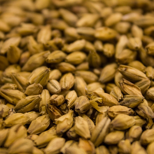 Barke Vienna Malt - 3L