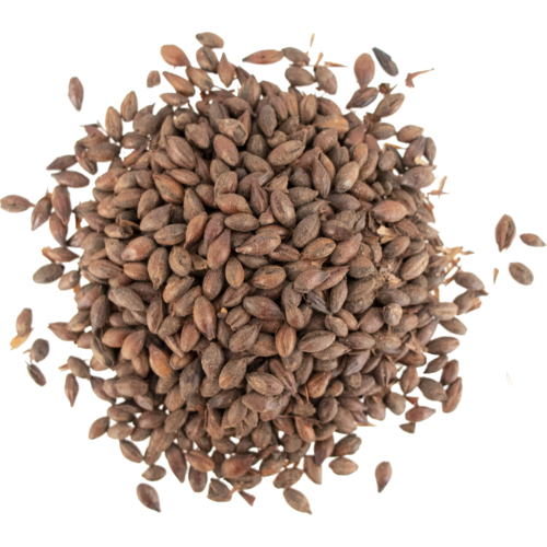 Carafa® Special III Malt - 490L - 566L