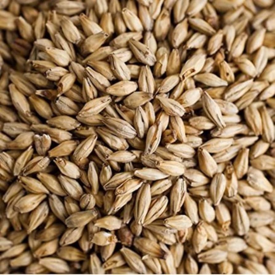 2 Row Brewers Malt