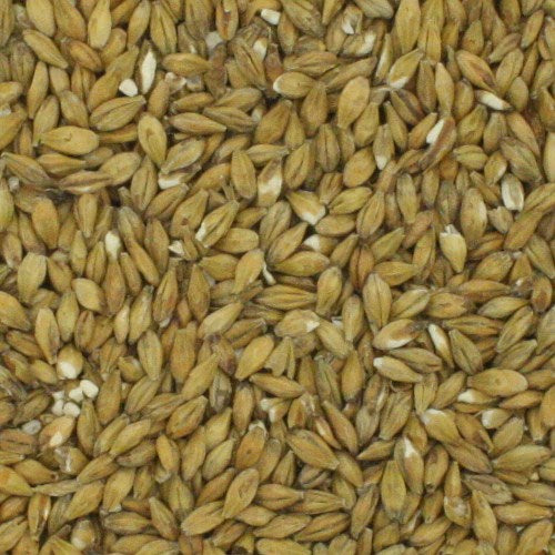 Acidulated Malt (Sour Malt)