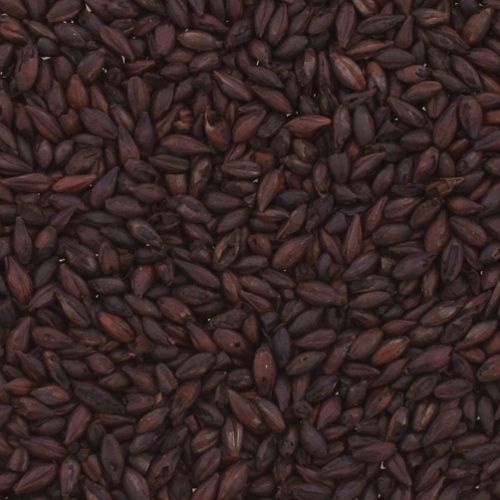 Black Malt - 500L