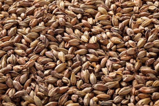 Victory Malt - 28L