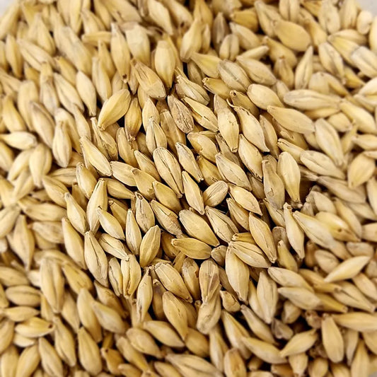Vienna Malt - 5L