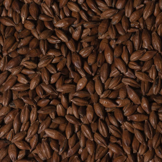 Pale Chocolate Malt - 200L