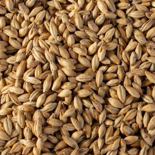 Czech Bohemian Pilsner Malt