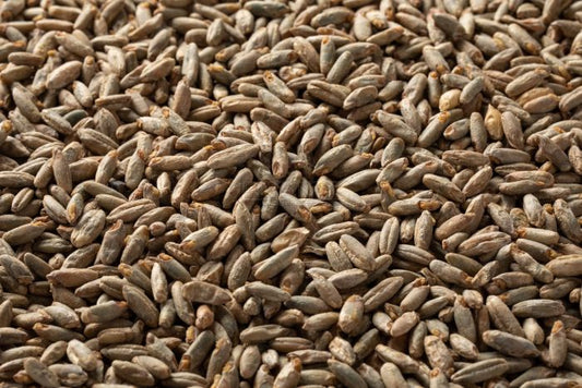 Rye Malt - 4L